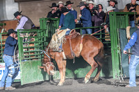 Ranch Bronc Section 1