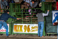 Bull Riding Section 1