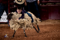 Mutton Busting