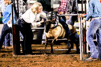 Mutton Busting