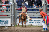 Steer Riding