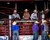 Saddle Bronc