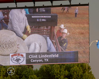 Saddle Bronc