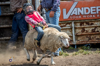 Mutton Busting