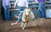 Mutton Busting