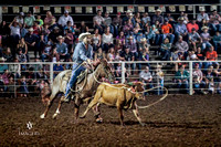 Will Rogers Memorial Rodeo