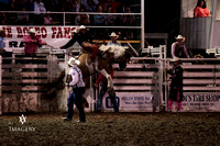 Saddle Bronc