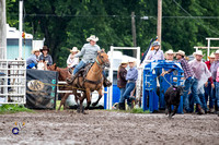 Team Ribbon Roping