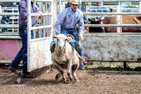 Mutton Busting