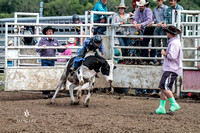 Calf/Steer/Bull Riding