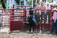 Calf/Bull/Steer Riding