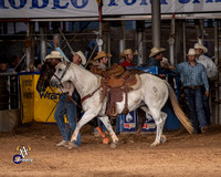 Steer Wrestling