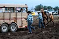 AVI ALM Ranch Rodeo Trailering-0458