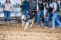 Mutton Busting