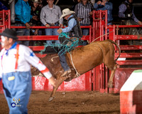 Bull Riding