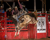 Bull Riding