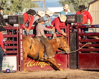 Ranch Bronc