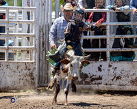 Calf Riding