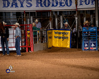 Steer Wrestling