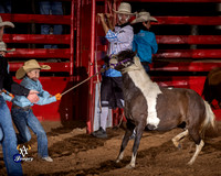 Mini Wild Horse Race