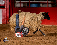 Mutton Busting