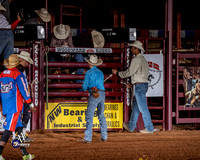 Bull Riding