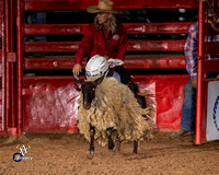 Mutton Busting