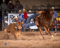 Steer Wrestling