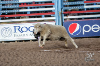 Mutton Busting and Barrel Racing