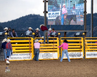 Bull Riding