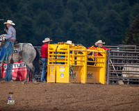 Team Roping