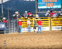 Saddle Bronc