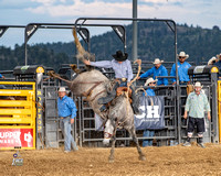 Saddle bronc