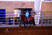 Class 730 ~ Bareback Horsemanship 10-13 Yrs Old