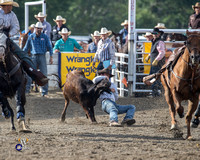 Steer Wrestling