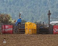 Team Roping