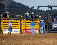 Bull Riding