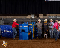 Steer Wrestling