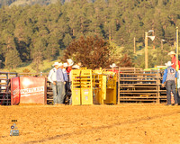 Team Roping