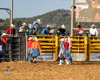 Bull Riding