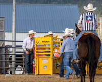 Steer Wrestling