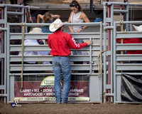 Mutton Busting