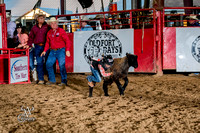 Mutton Busting