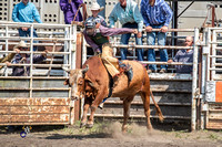 Bull Riding