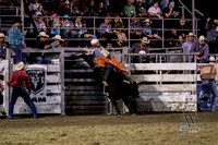 Bull Riding