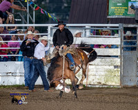 Ranch Bronc