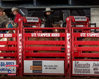 Saddle Bronc