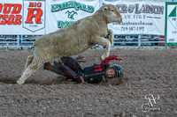Mutton Busting Local Barrel Race