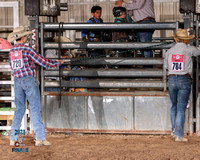 Mutton Busting