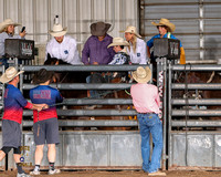 Saddle Bronc